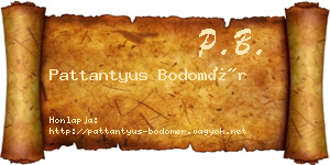 Pattantyus Bodomér névjegykártya